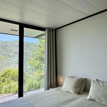 Sorte Gestacas By House And People *