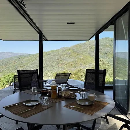 Sorte Gestacas By House And People Louredo (Braga)