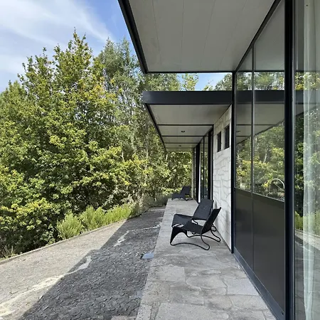 Sorte Gestacas By House And People *