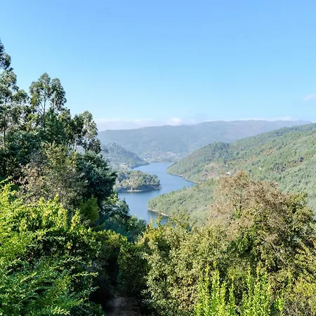 Sorte Gestacas By House And People