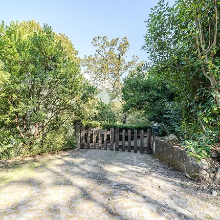 Sorte Gestacas By House And People Feriehus *