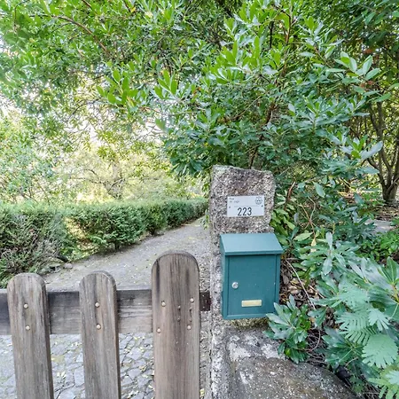 Sorte Gestacas By House And People *