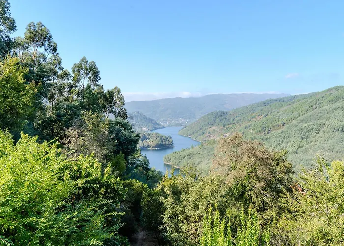 Sorte Gestacas By House And People