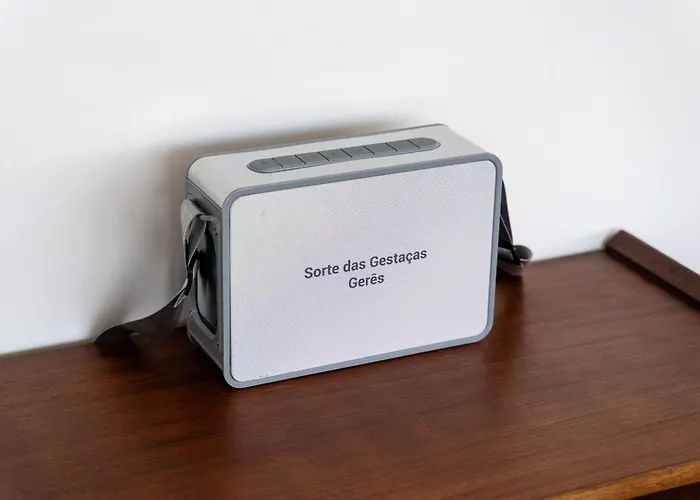 Sorte Gestacas By House And People Feriehus *