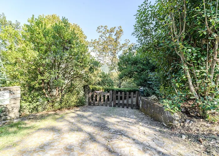 Sorte Gestacas By House And People 펜션 *