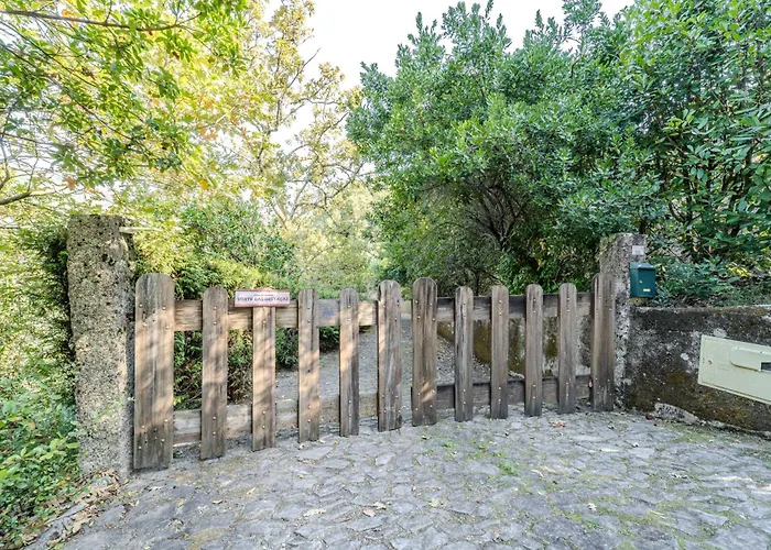 Sorte Gestacas By House And People Feriehus *