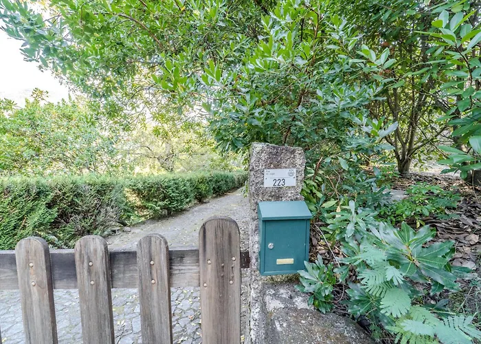 Sorte Gestacas By House And People *