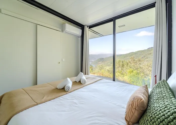 Sorte Gestacas By House And People